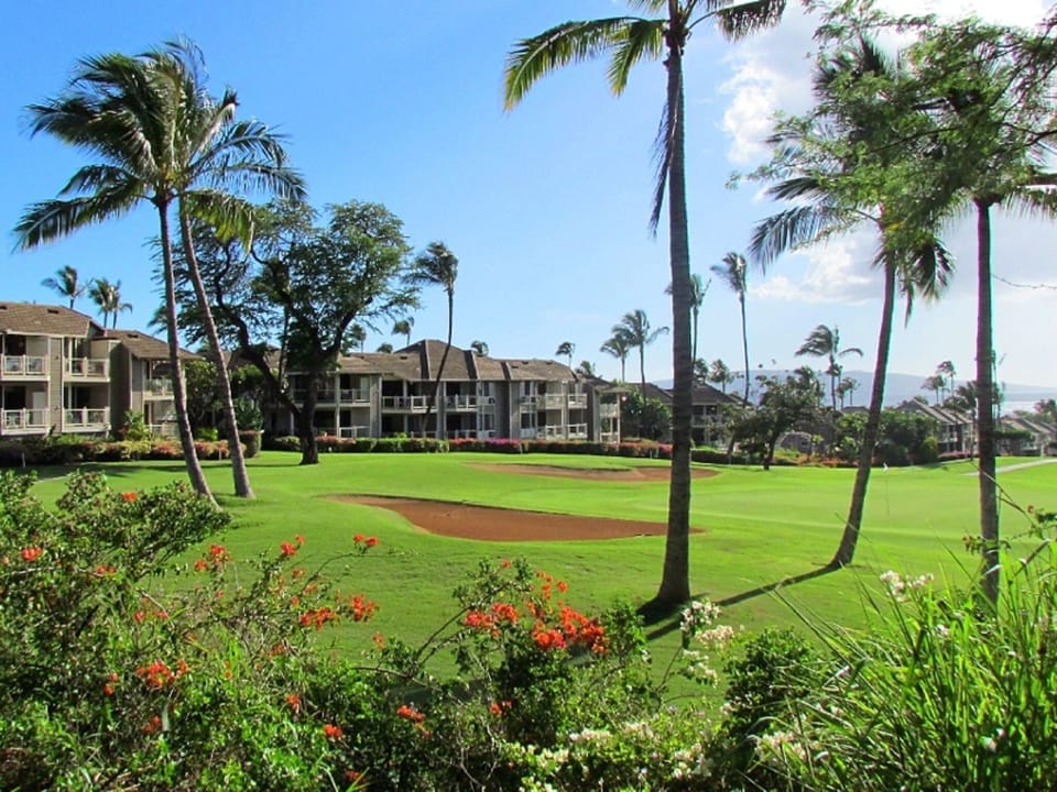 Condo (3 Bedrooms) | Property amenity