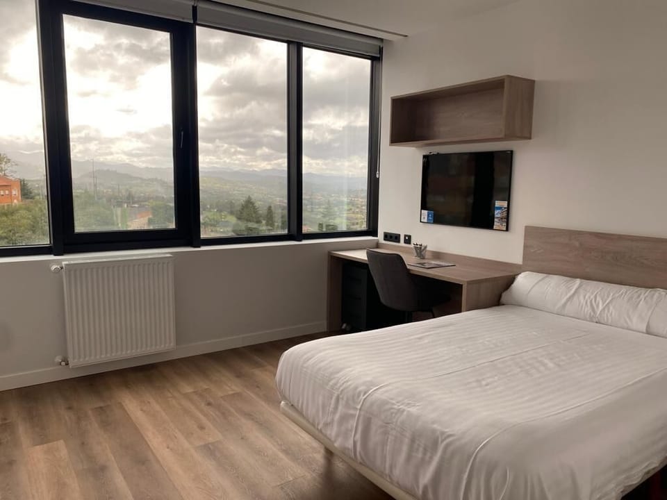 Basic Double or Twin Room | Desk, laptop workspace, free WiFi, bed sheets