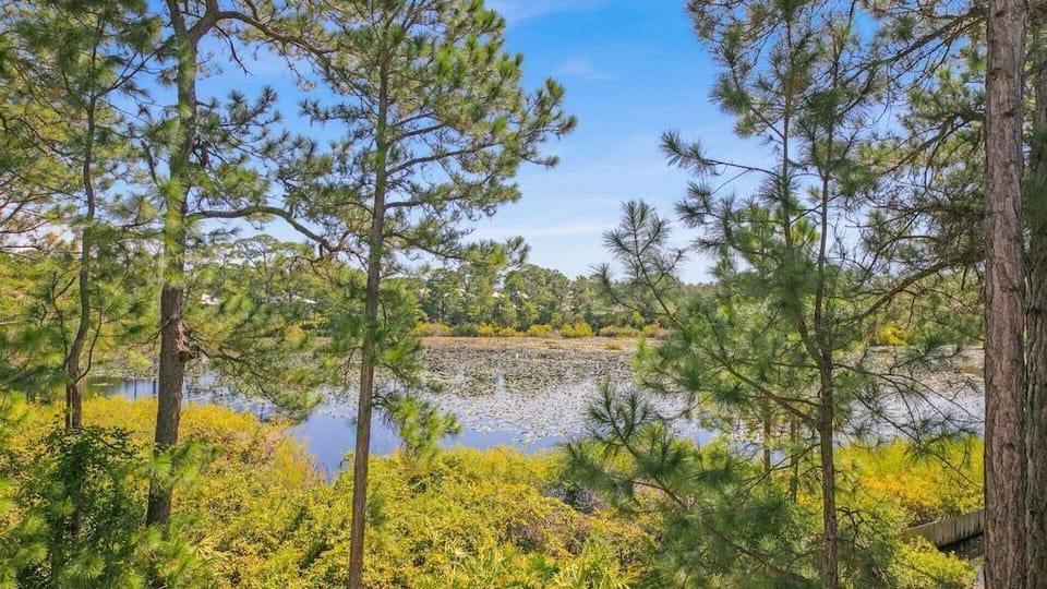 The private balcony offers a perfect spot to enjoy a morning coffee or an evening drink, while taking in the breathtaking views of the lake adorned with evergreen pines and water lilies.