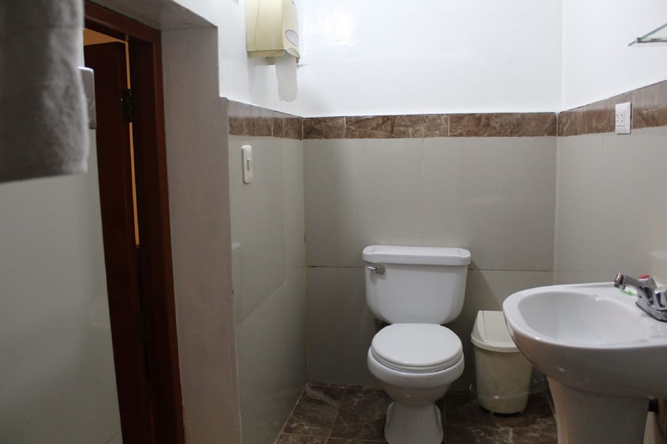 Traditional Single Room | Bathroom | Shower, towels