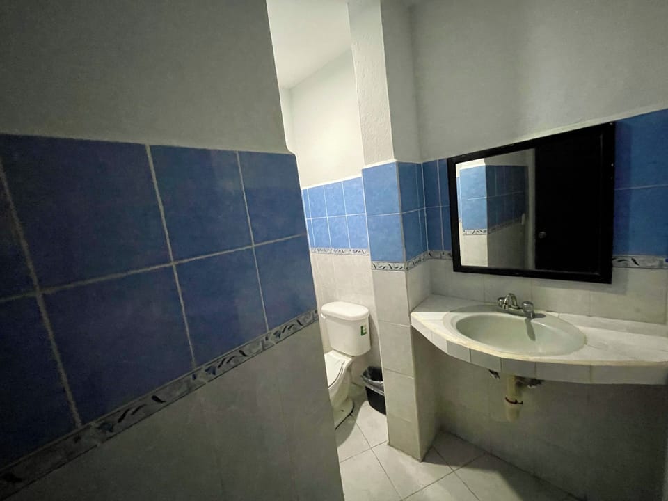 Deluxe Studio Suite, Multiple Beds | Bathroom | Shower, towels, soap, shampoo