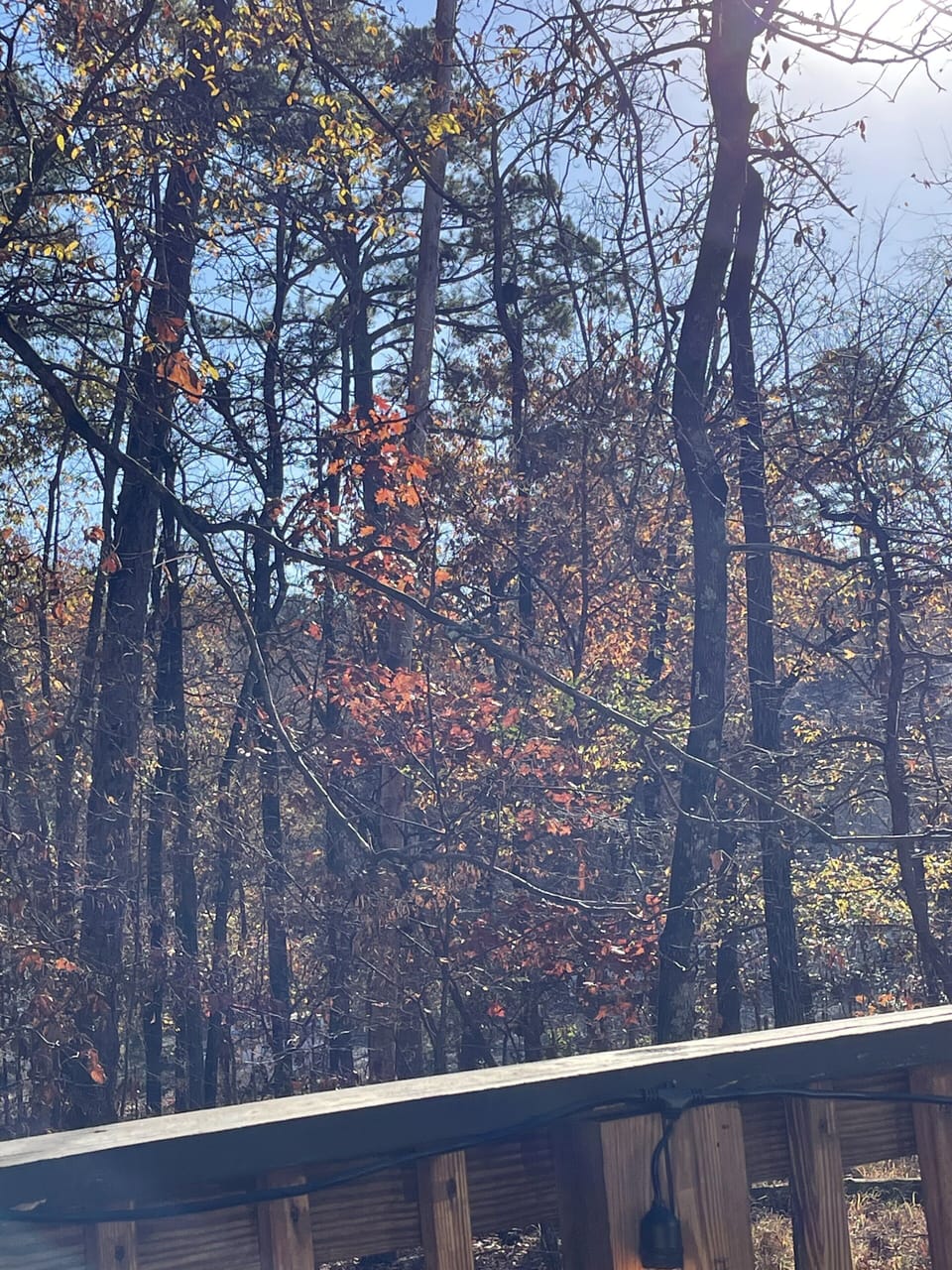 Fall In the Air