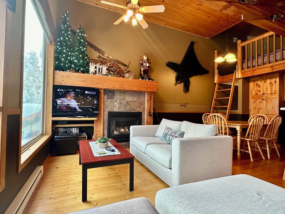 Gas fireplace
