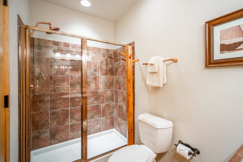 Master Bath Walk-in Shower
