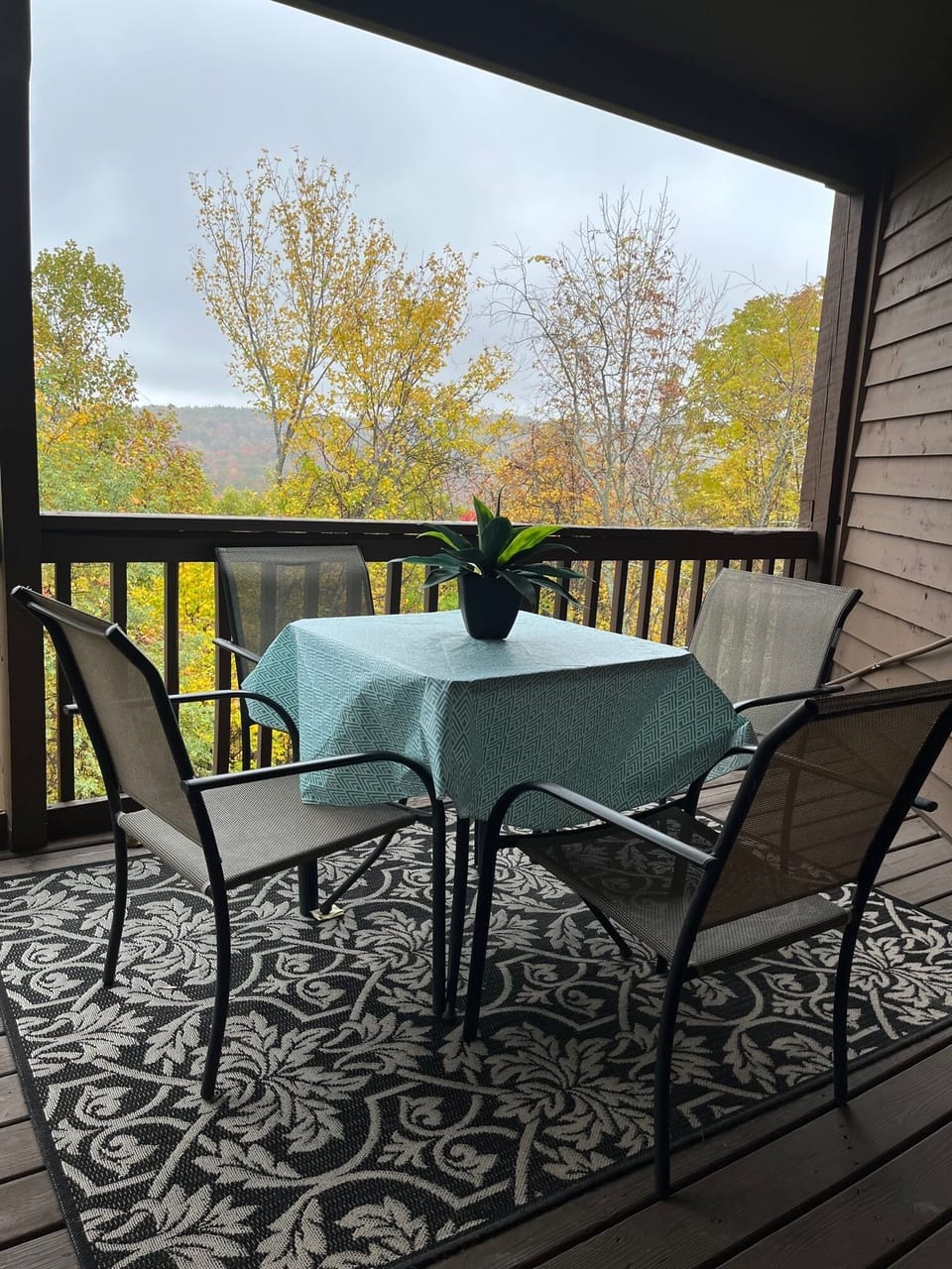 Back deck