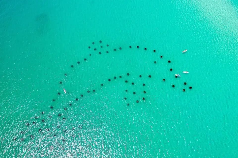 Artificial reef off Frangista Beach