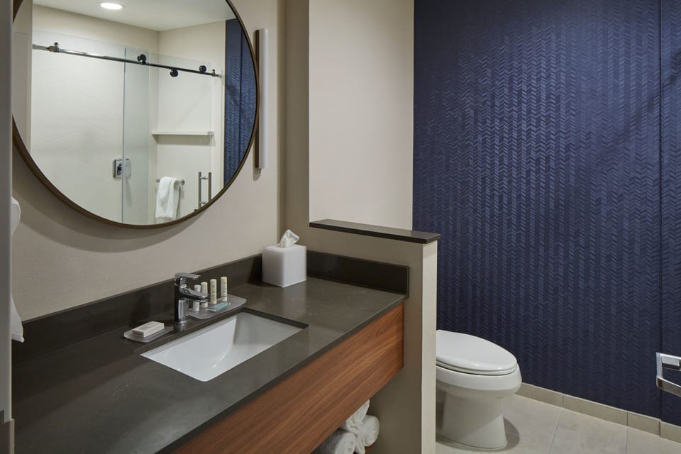 Hair dryer, towels, soap, shampoo
