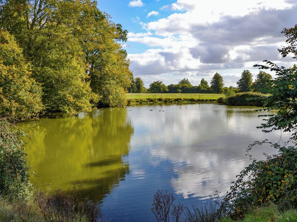Surrounding area | Park View, Palgrave, near Diss