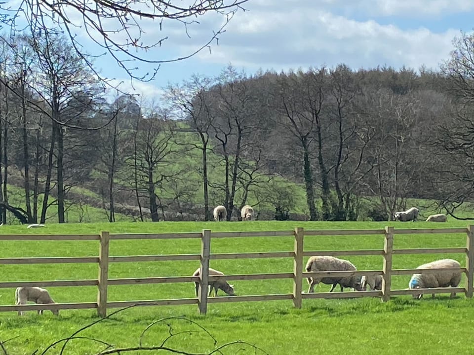 Rear garden view | Stone Cottage, Wingerworth