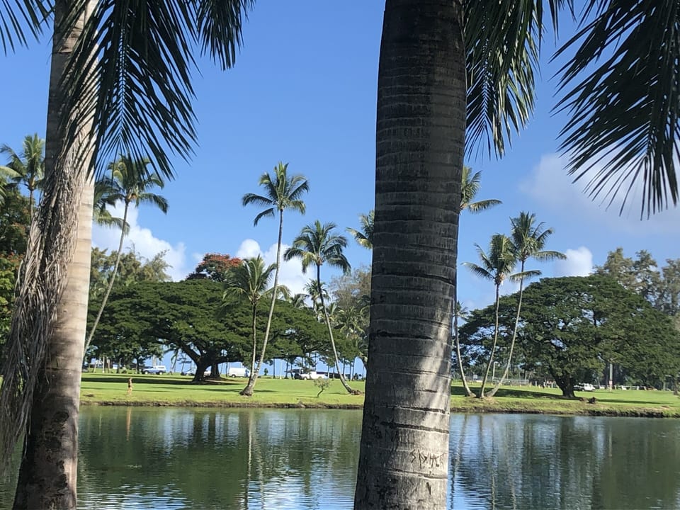 Simply a beautiful walk right next door with Wailoa Ponds