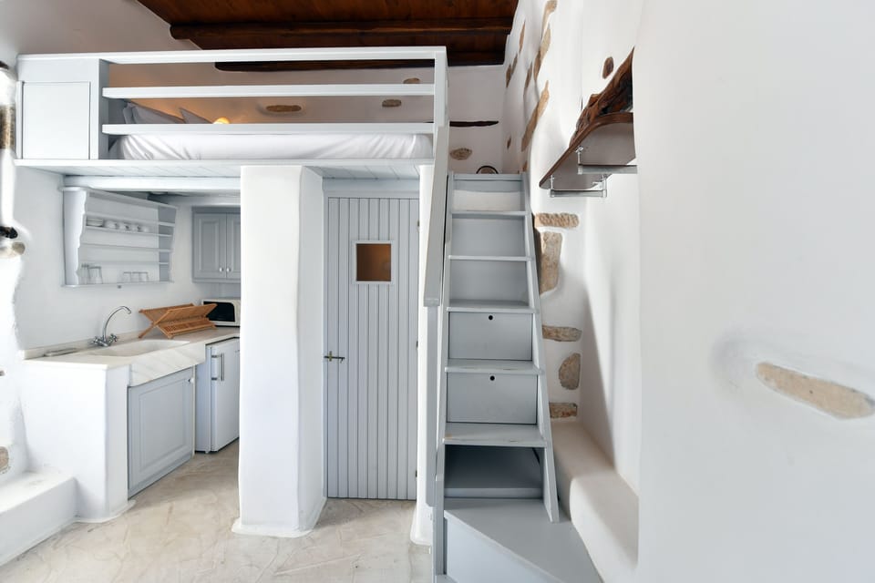 Fridge, microwave, oven, cookware/dishes/utensils