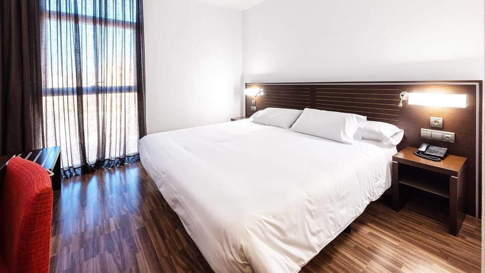 Standard Double Room Single Use | Minibar, desk, WiFi (free), bed sheets