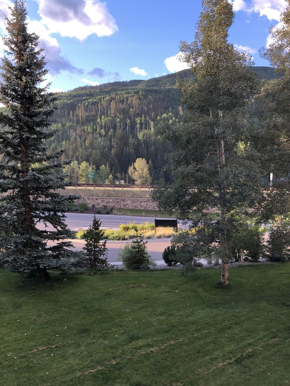View from Living Room Balcony