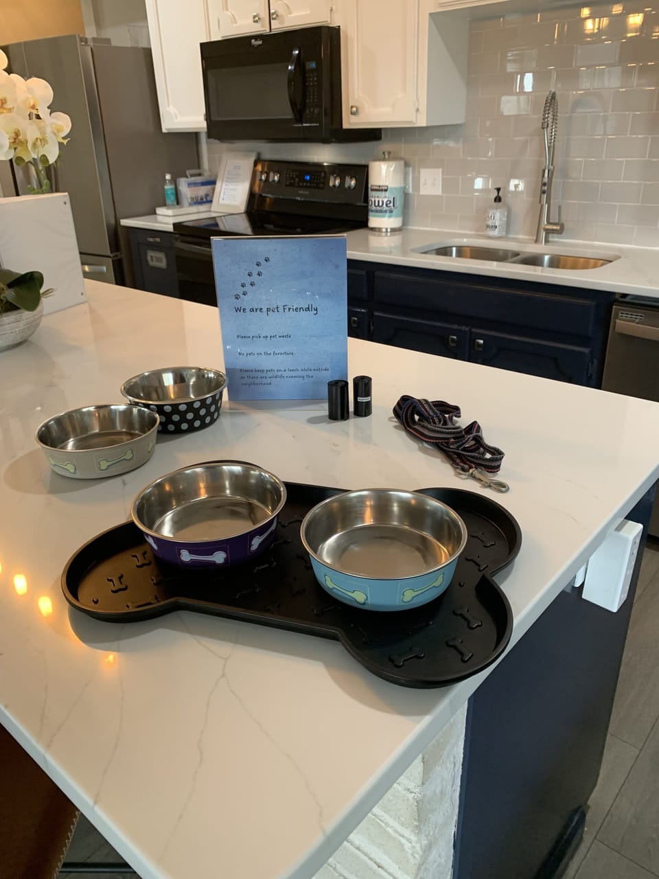 We have supplies for your furry loved ones!