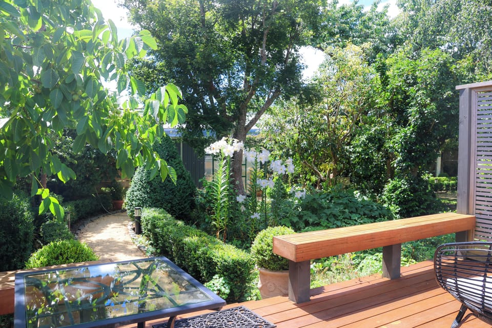 View from the patio