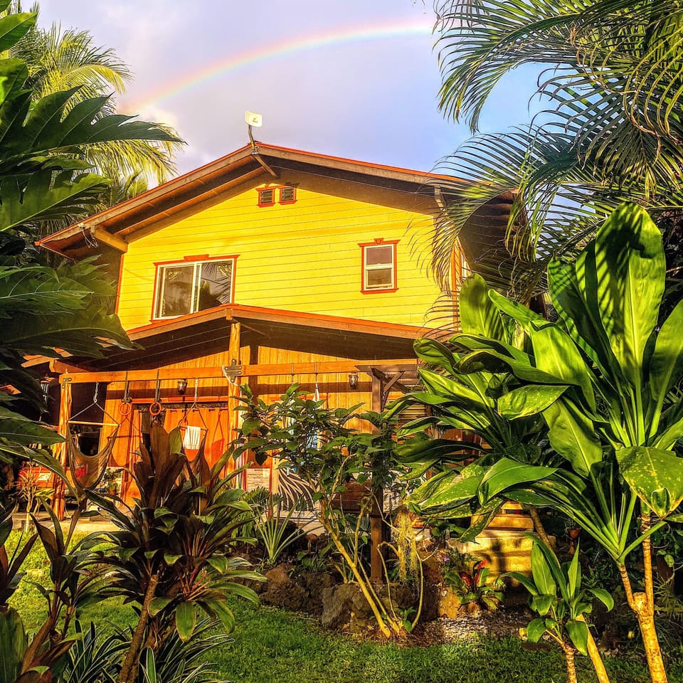 An afternoon rainbow to welcome you to Garden of the Phoenix!