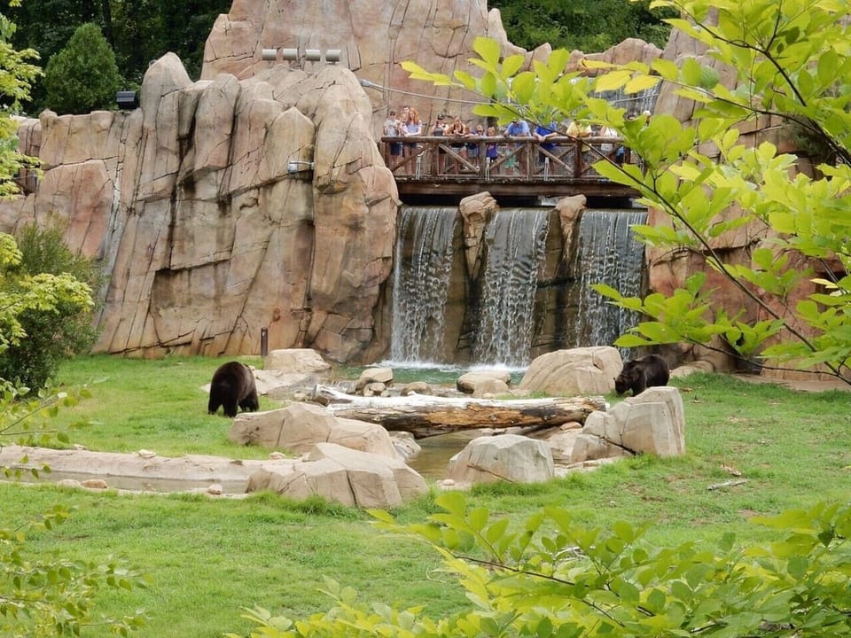 Plan a wild day out—Memphis Zoo is just 9 minutes from your stay.