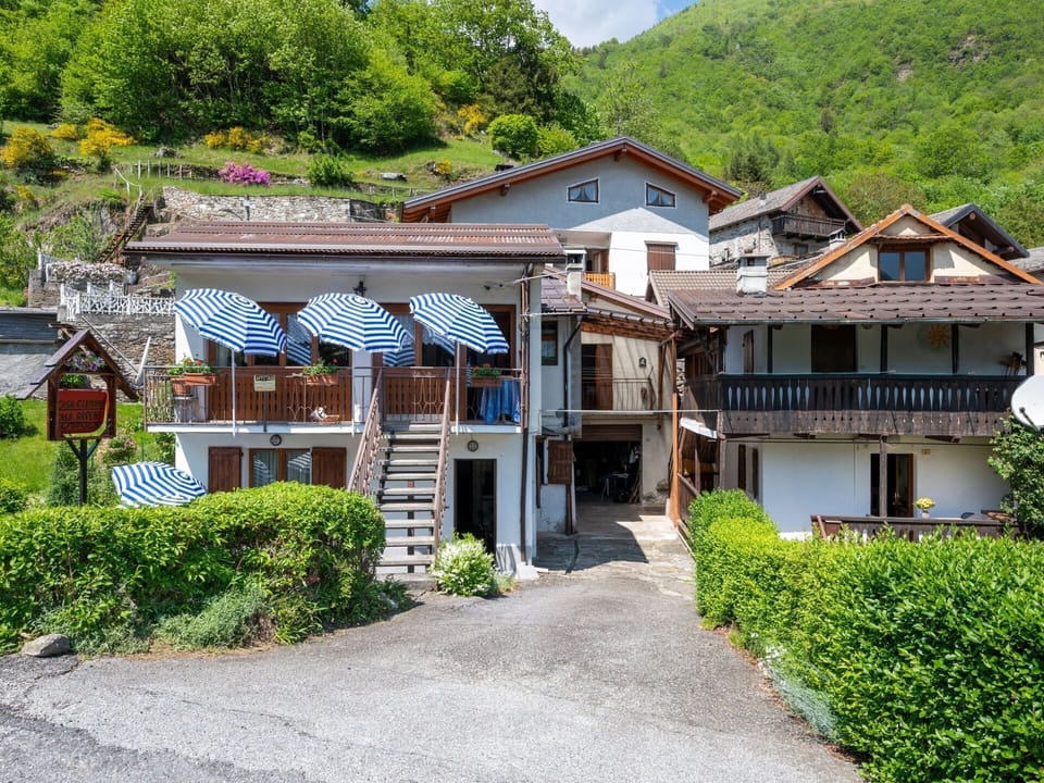 Furniture, Building, Table, Plant, Chair, Houseplant, Shade, Orange, Interior Design, Flooring