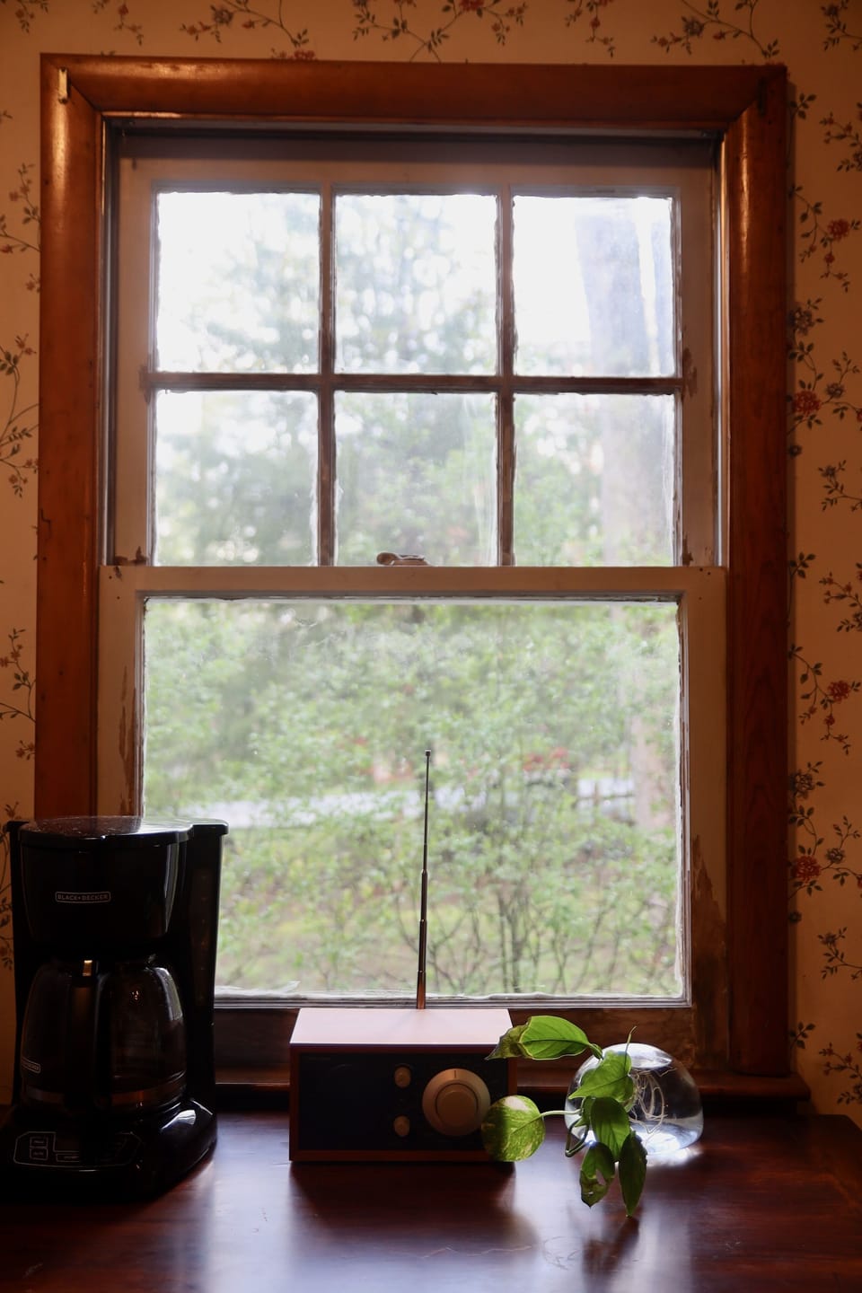 Views of nature and sounds easily experienced at the Blue House of the Catskills