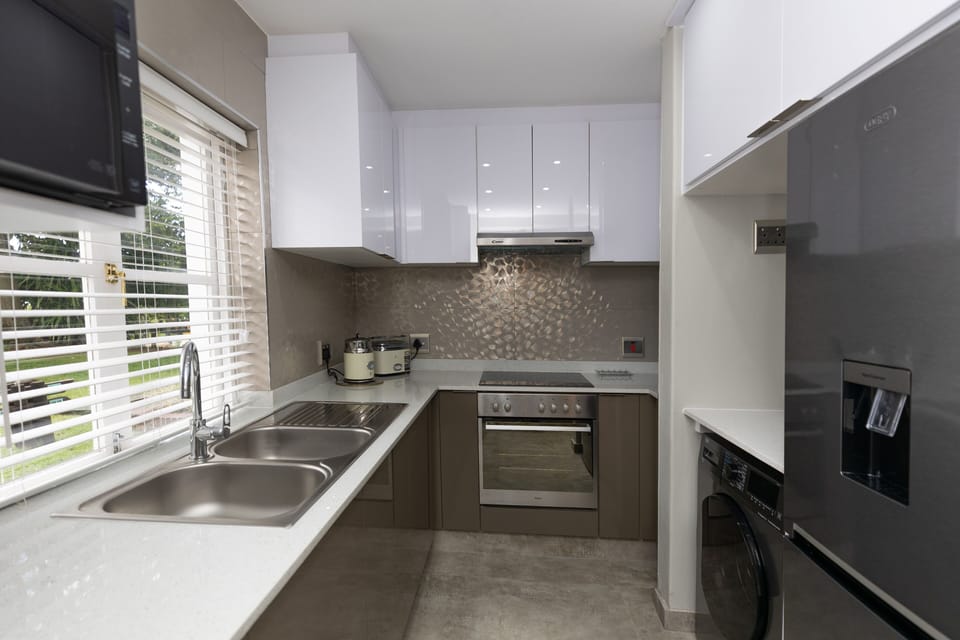 Deluxe Apartment | Private kitchen | Full-size fridge, cookware/dishes/utensils