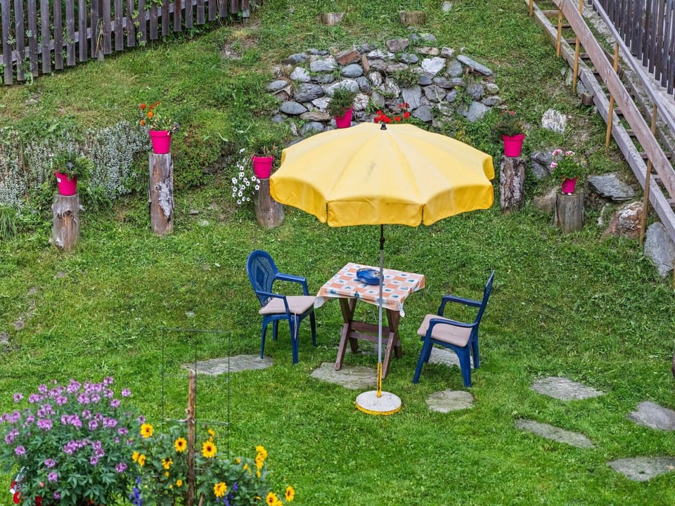 Garden [summer]