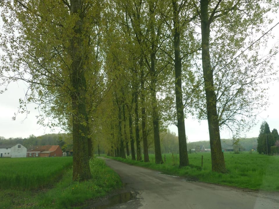 Surroundings [summer] (1-5 km)