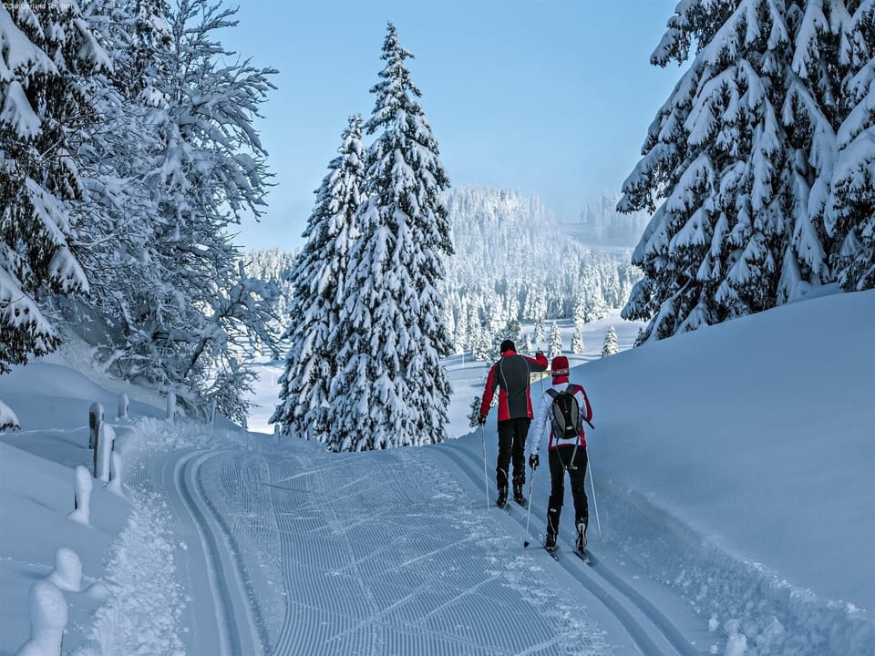 Region [winter] (>5 km)