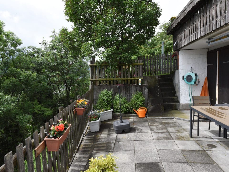 Garden [summer]