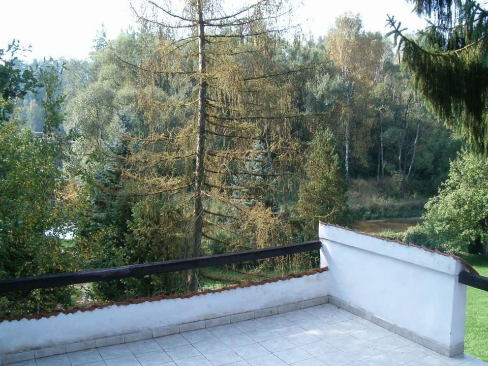 Patio / Balcony