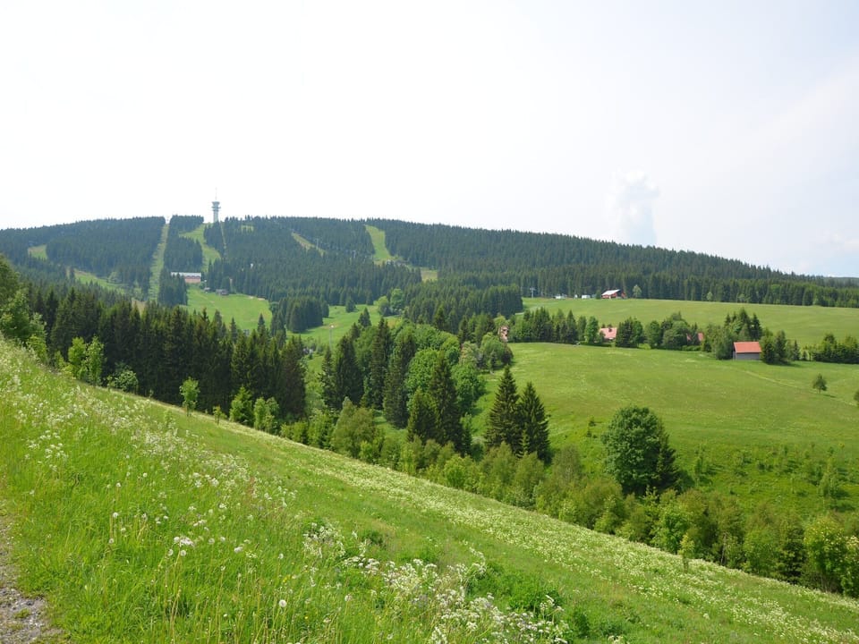 Immediate Surroundings [summer] (<1 km)