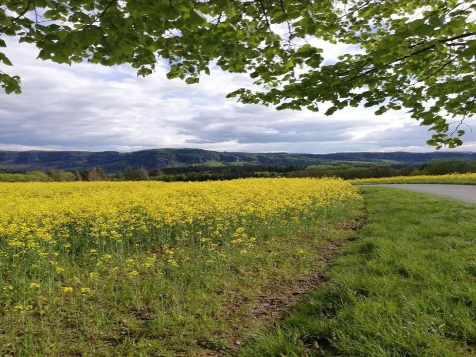 Surroundings [summer] (1-5 km)