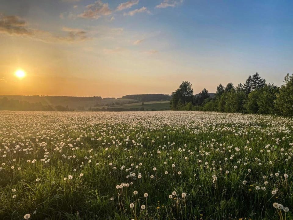 Region [summer] (>5 km)
