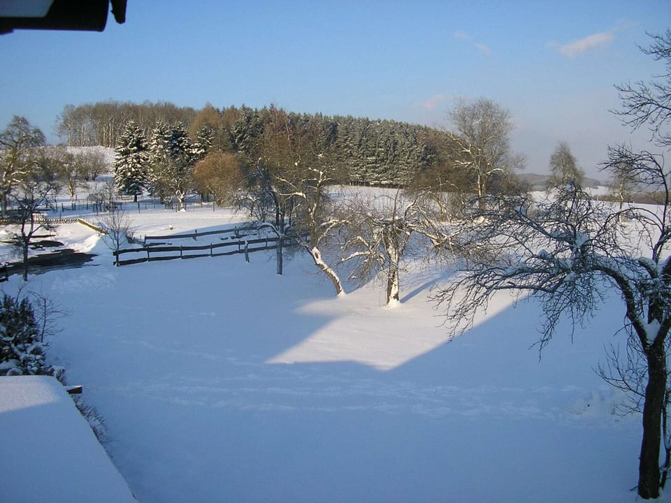 Garden [winter]