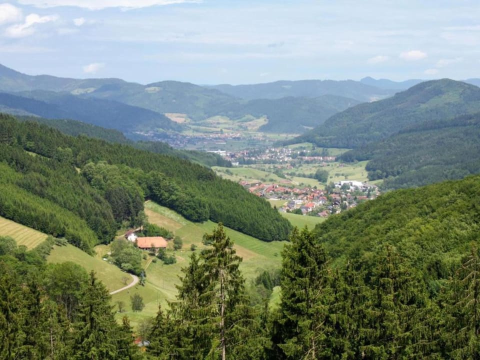 Region [summer] (>5 km)