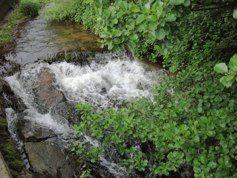 Surroundings [summer] (1-5 km)