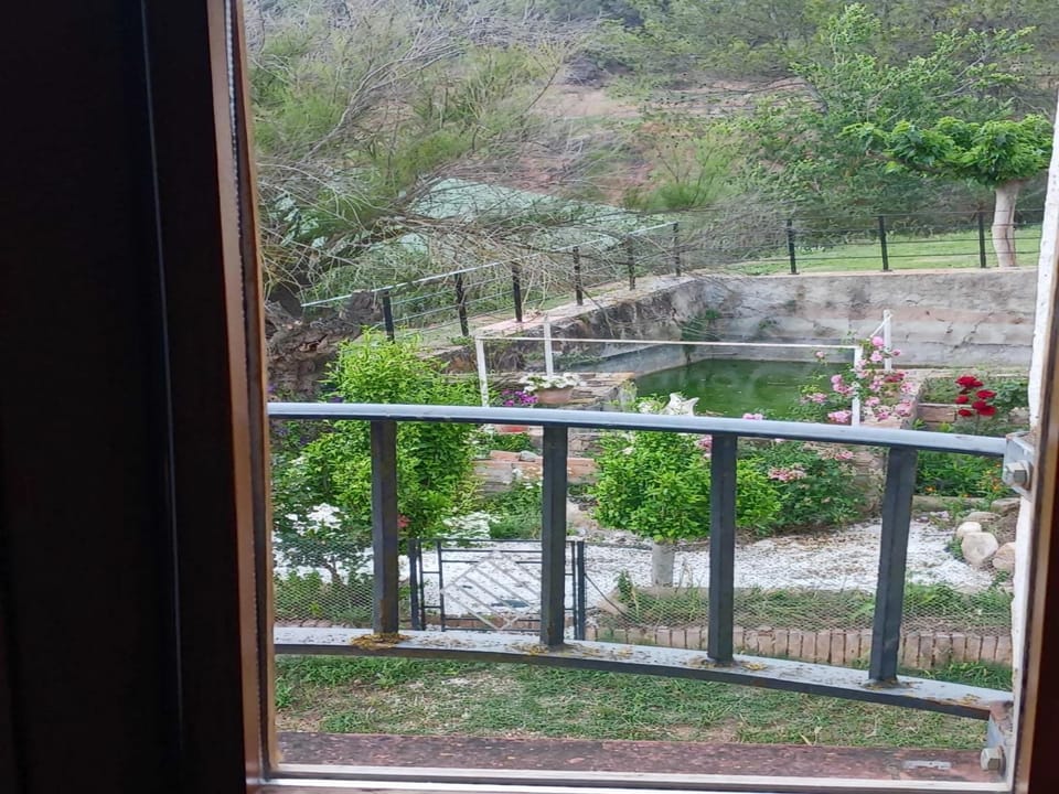 View from Holiday Home [summer]
