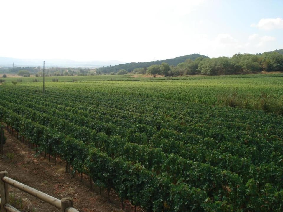 Surroundings [summer] (1-5 km)