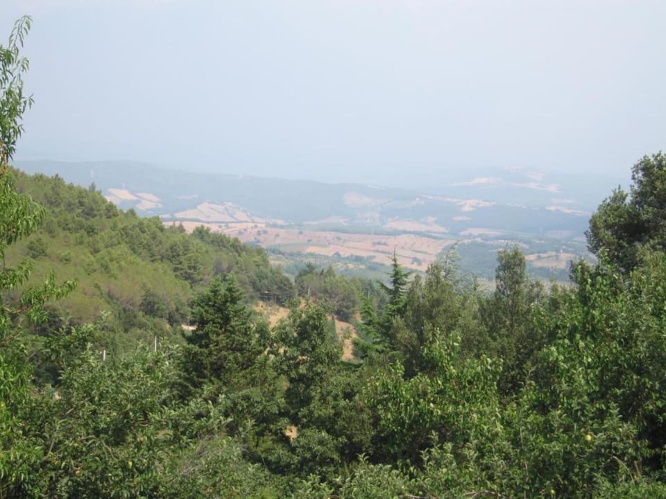 Surroundings [summer] (1-5 km)
