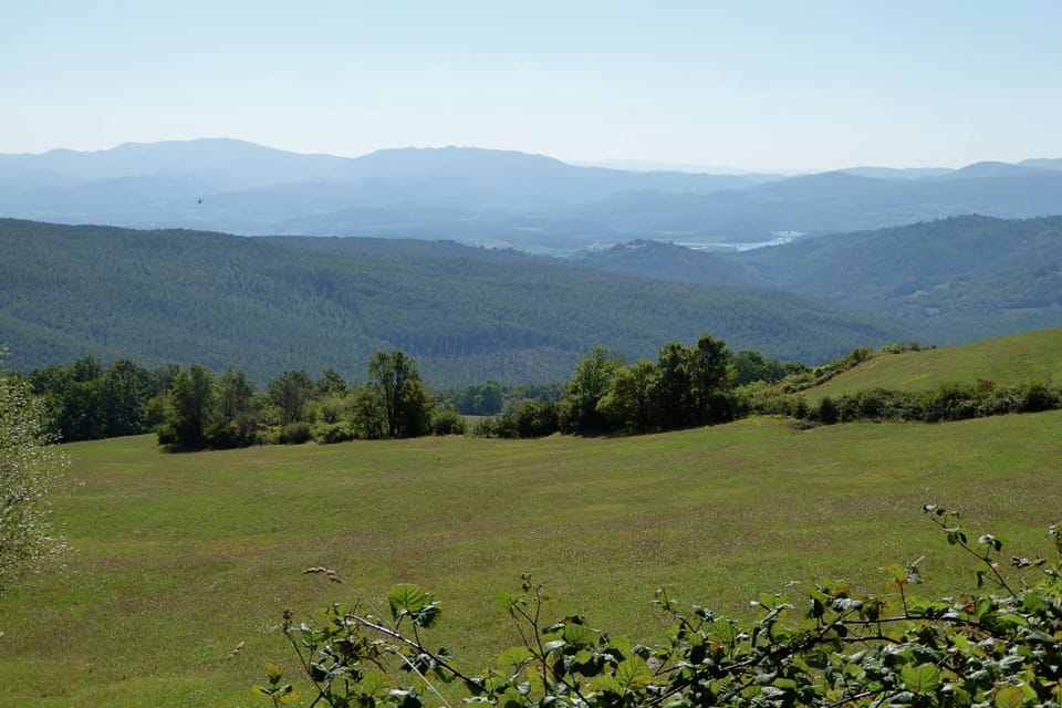 View from Holiday Home [summer]