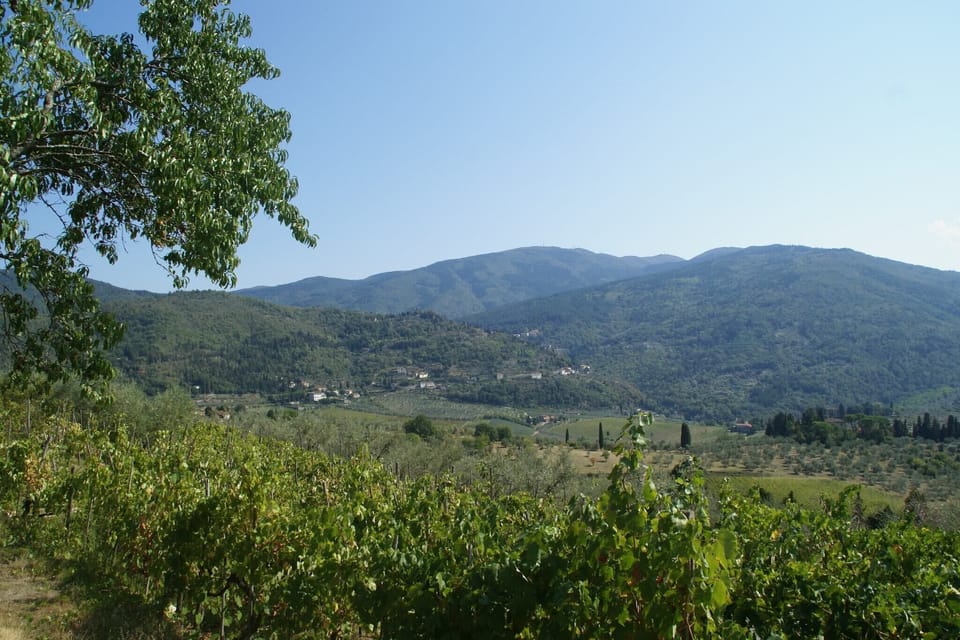 Immediate Surroundings [summer] (<1 km)