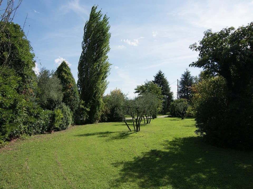 Garden [summer]