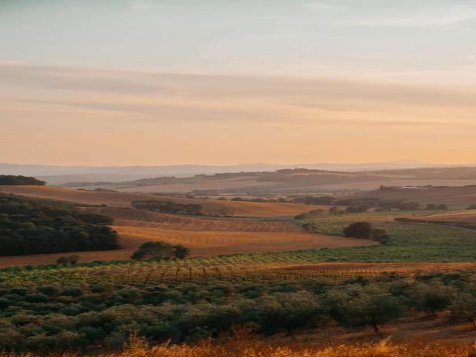 Surroundings [summer] (1-5 km)