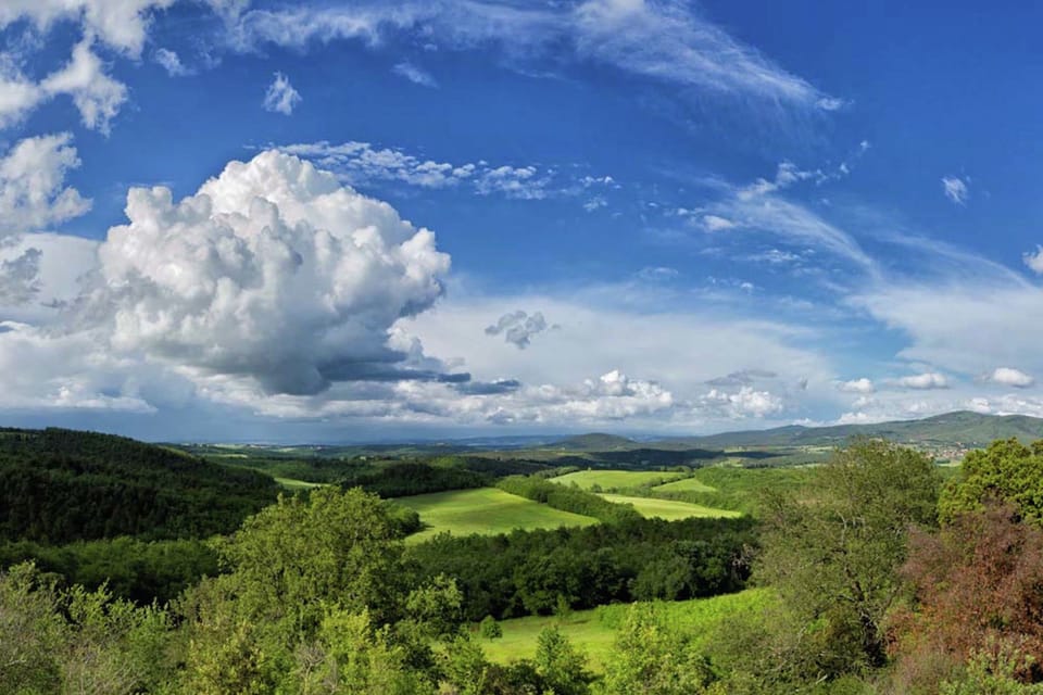 View from Holiday Home [summer]