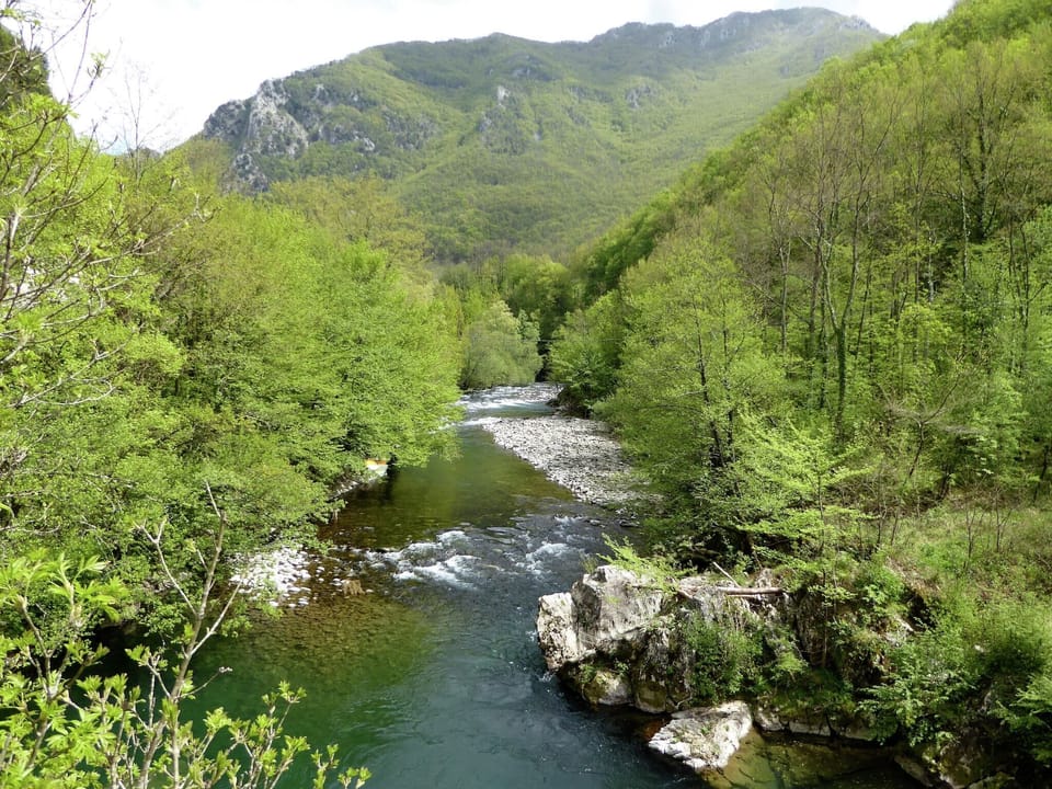 Surroundings [summer] (1-5 km)
