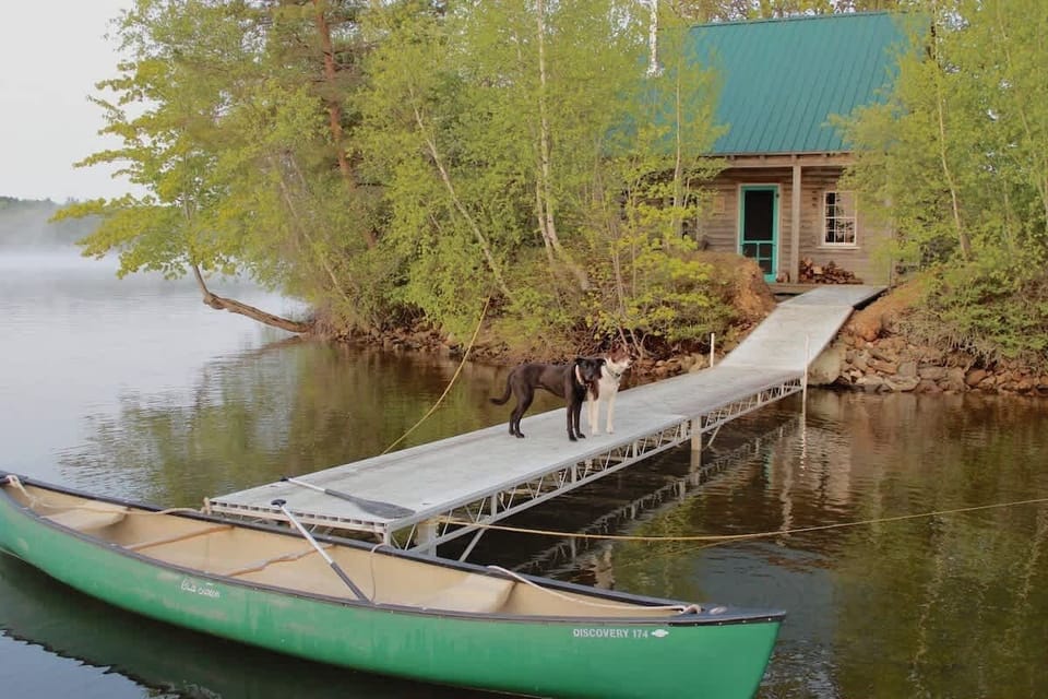 Private island. Dogs make the rules. Humans are allowed, too.