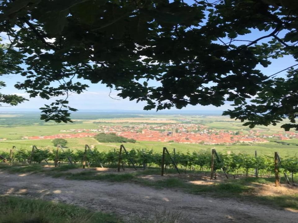 Surroundings [summer] (1-5 km)