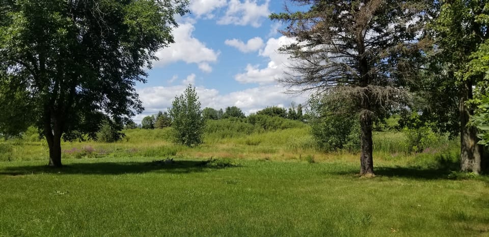 Large back yard with firepit available to both cottages.