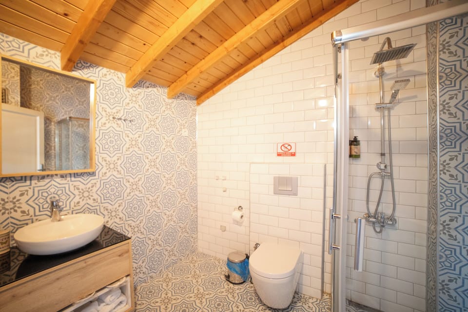 Shower, rainfall showerhead, hair dryer, slippers
