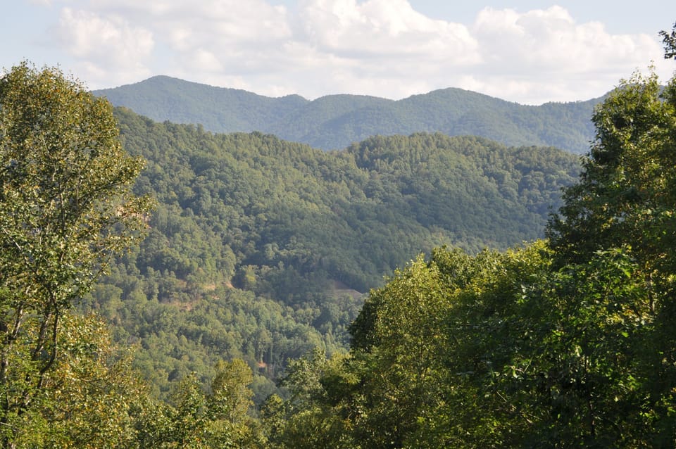 Lush summer greenery wraps around this long-range mountain scene.