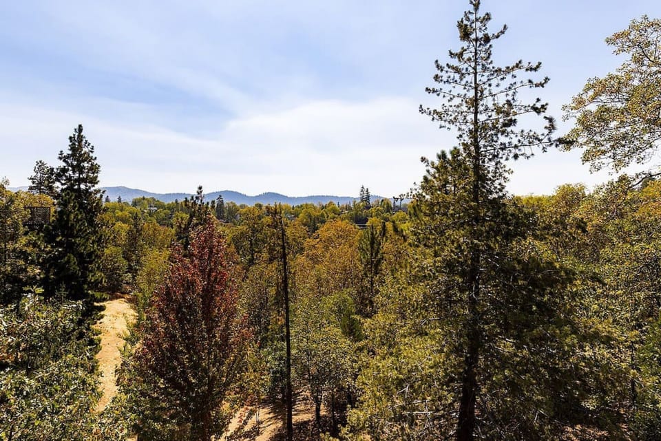 Breathe in the fresh mountain air!🌲 This view is pure bliss.